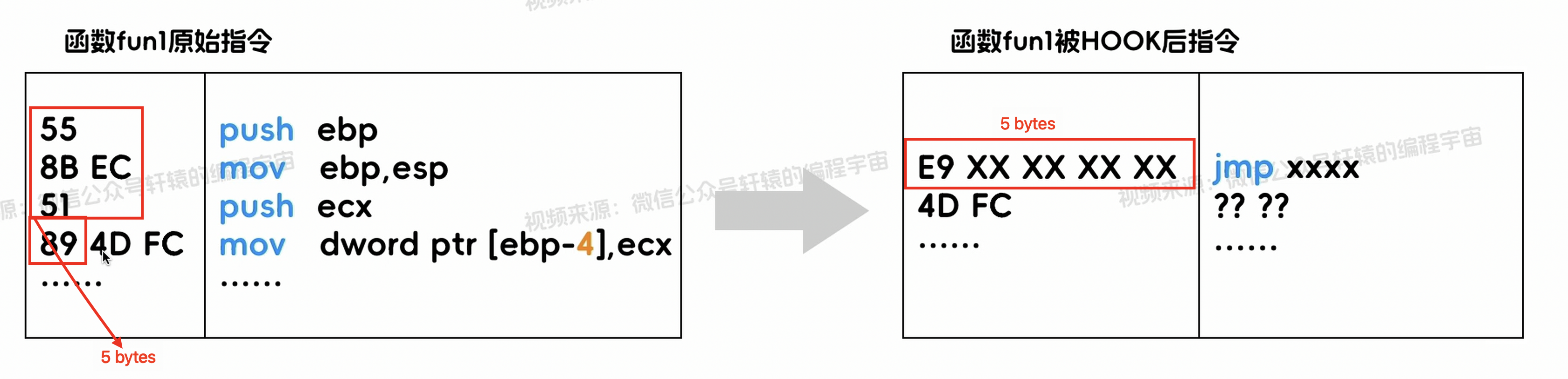 image-20260126020124491