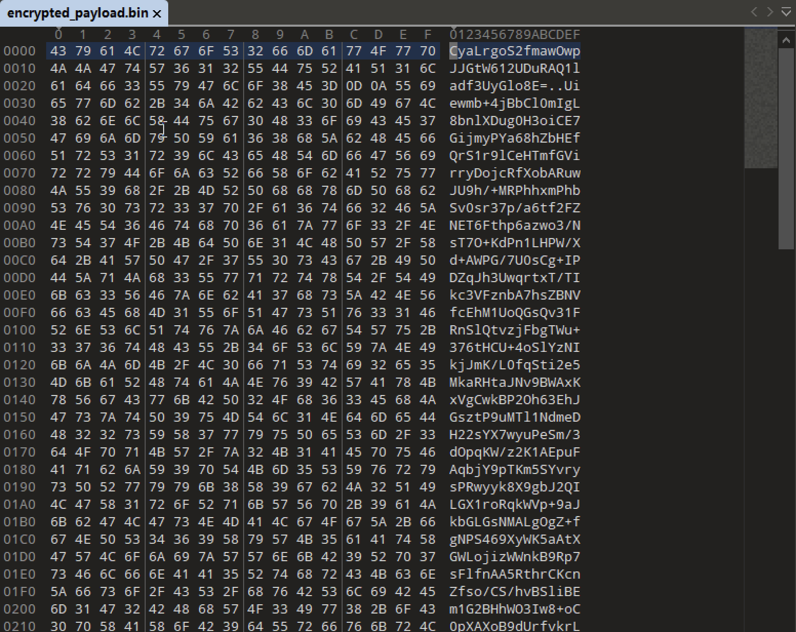 image-20260324212814817